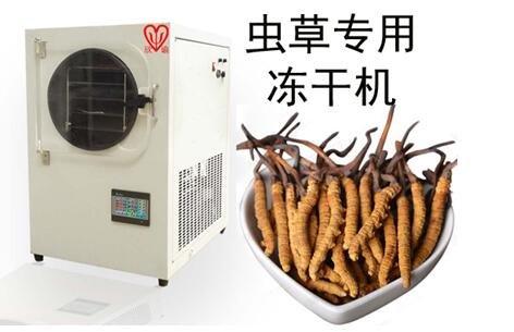 蟲草小型凍干機(jī)實驗室XY-FD-L4中藥冷凍干燥機(jī)小型家用真空冷凍干燥機(jī)
